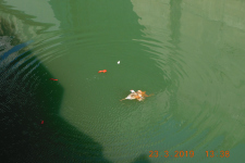 DSCN1743