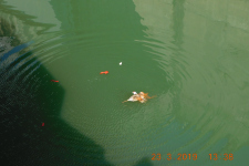 DSCN1743