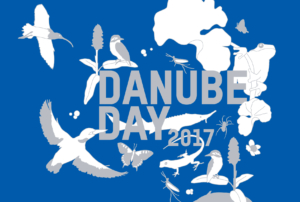 danube_day