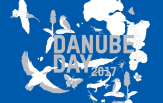 danube_day