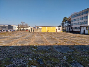 20250210_093951