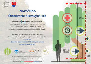 Orezávanie hlavových vŕb 3