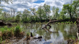 náučný chodník, Klátovské rameno na konci náučného chodníka