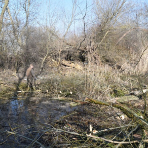 klatovske_07_05