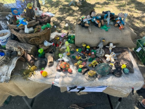 Medzinárodný deň Dunaja 2023 (10)