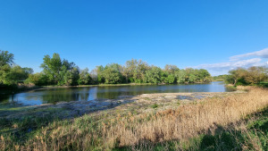 gravel bench; Klátovské rameno; Trhová Hradská; 4/2025