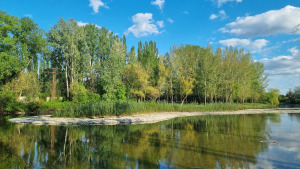 gravel island; Klátovské rameno; Trhová Hradská; 4/2025