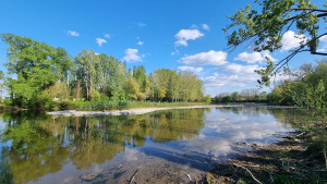 gravel island; Klátovské rameno; Trhová Hradská; 4/2025