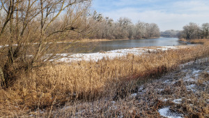 štrková lavica; Klátovské rameno; Trhová Hradská