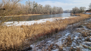 gravel bench; Klátovské rameno; Trhová Hradská