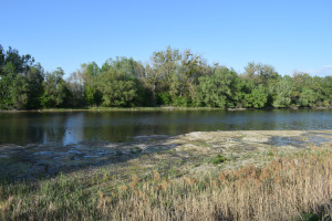 štrková lavica; Klátovské rameno; Trhová Hradská; 4/2025