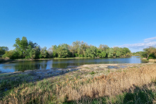 gravel bench; Klátovské rameno; Trhová Hradská; 4/2025