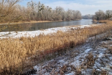 gravel bench; Klátovské rameno; Trhová Hradská