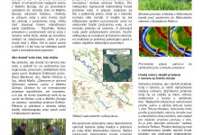 Klátovské rameno in the faculty magazine INFOrmácie