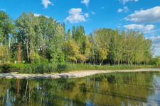 štrkový ostrov Klátovské rameno; Trhová Hradská