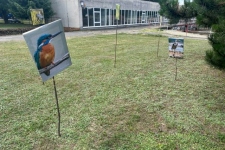 Medzinárodný deň Dunaja 2023 (2)