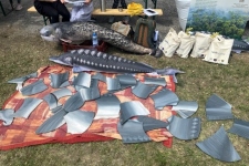 Medzinárodný deň Dunaja 2023 (3)