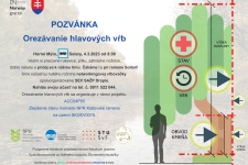 Orezávanie hlavových vŕb 4