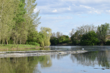 gravel island; Klátovské rameno; Trhová Hradská; 4/2025