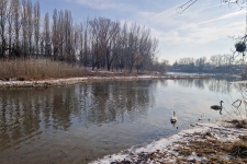 gravel island; Klátovské rameno; Trhová Hradská